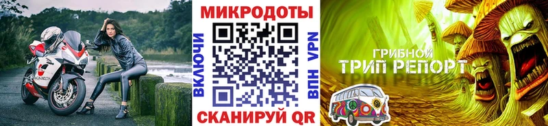 Псилоцибиновые грибы GOLDEN TEACHER  Островной 